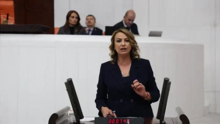CHP Milletvekili Nermin Yıldırım Kara: “ASM ödeneklerini kesmek deprem bölgesinde sağlık sistemini felce uğratır”